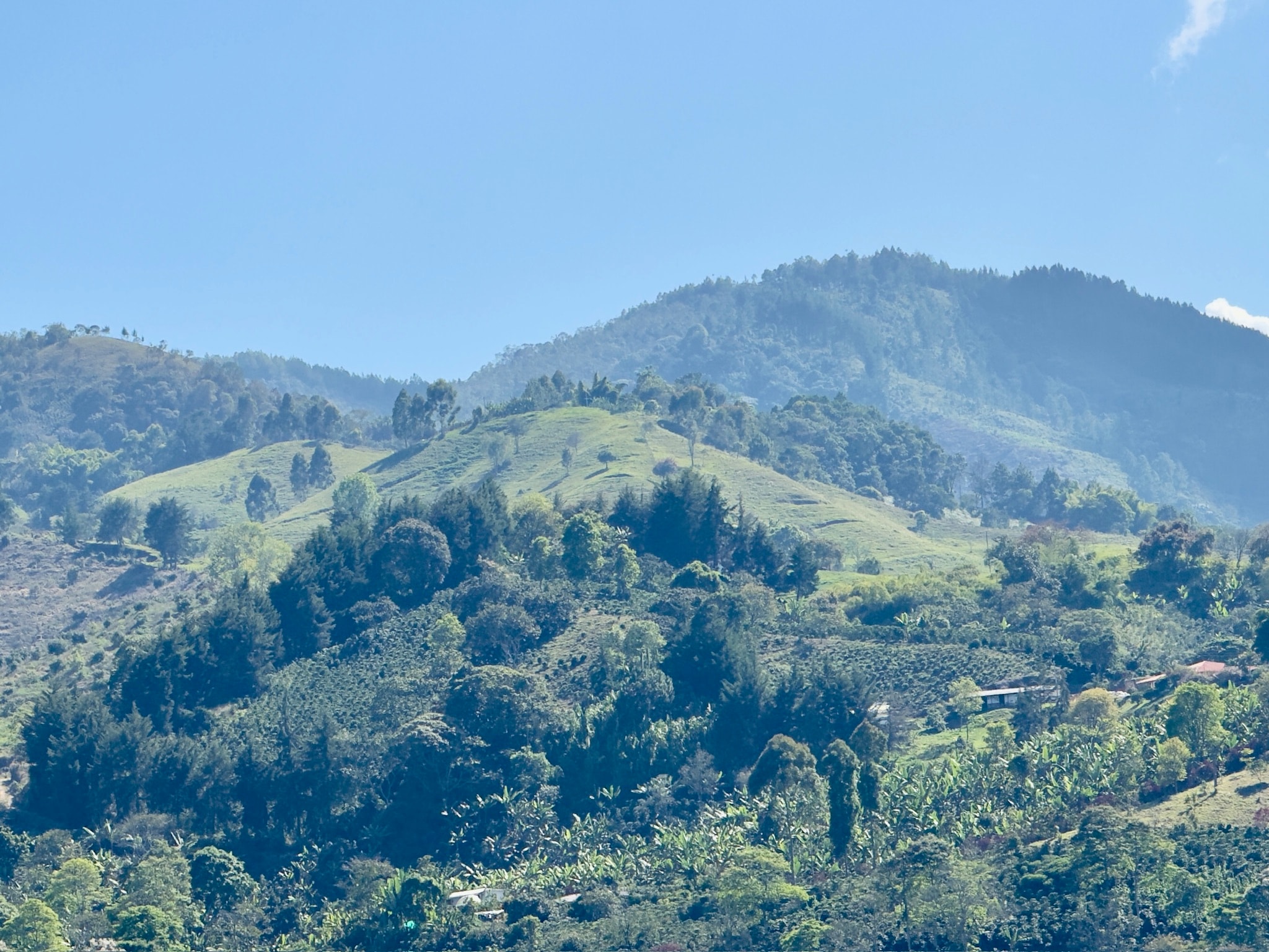 La Milagrosa farm in the Andes