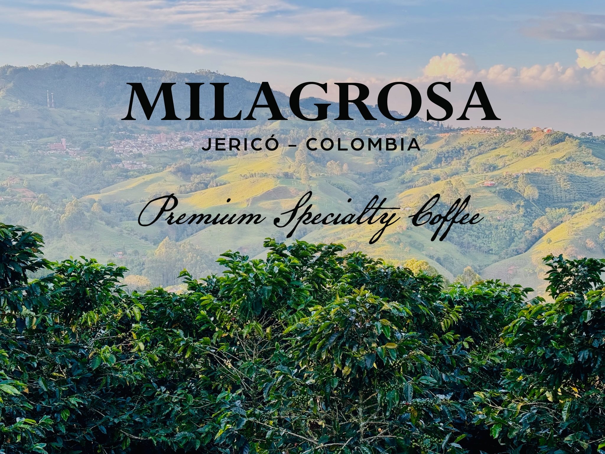 Jericó, Colombia — Milagrosa Single Estate
