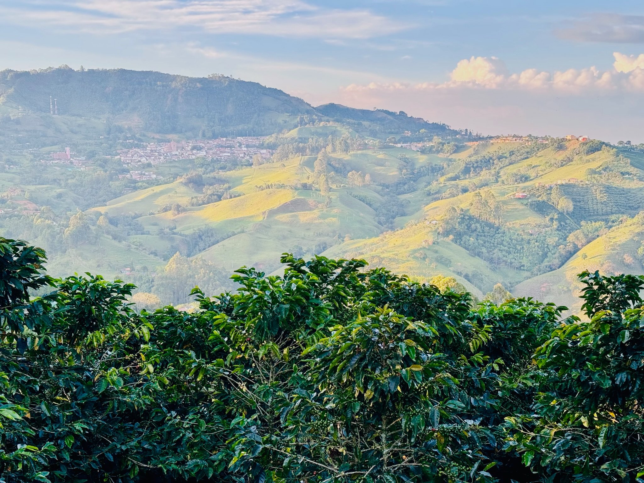 Jericó, Colombia — Milagrosa Single Estate